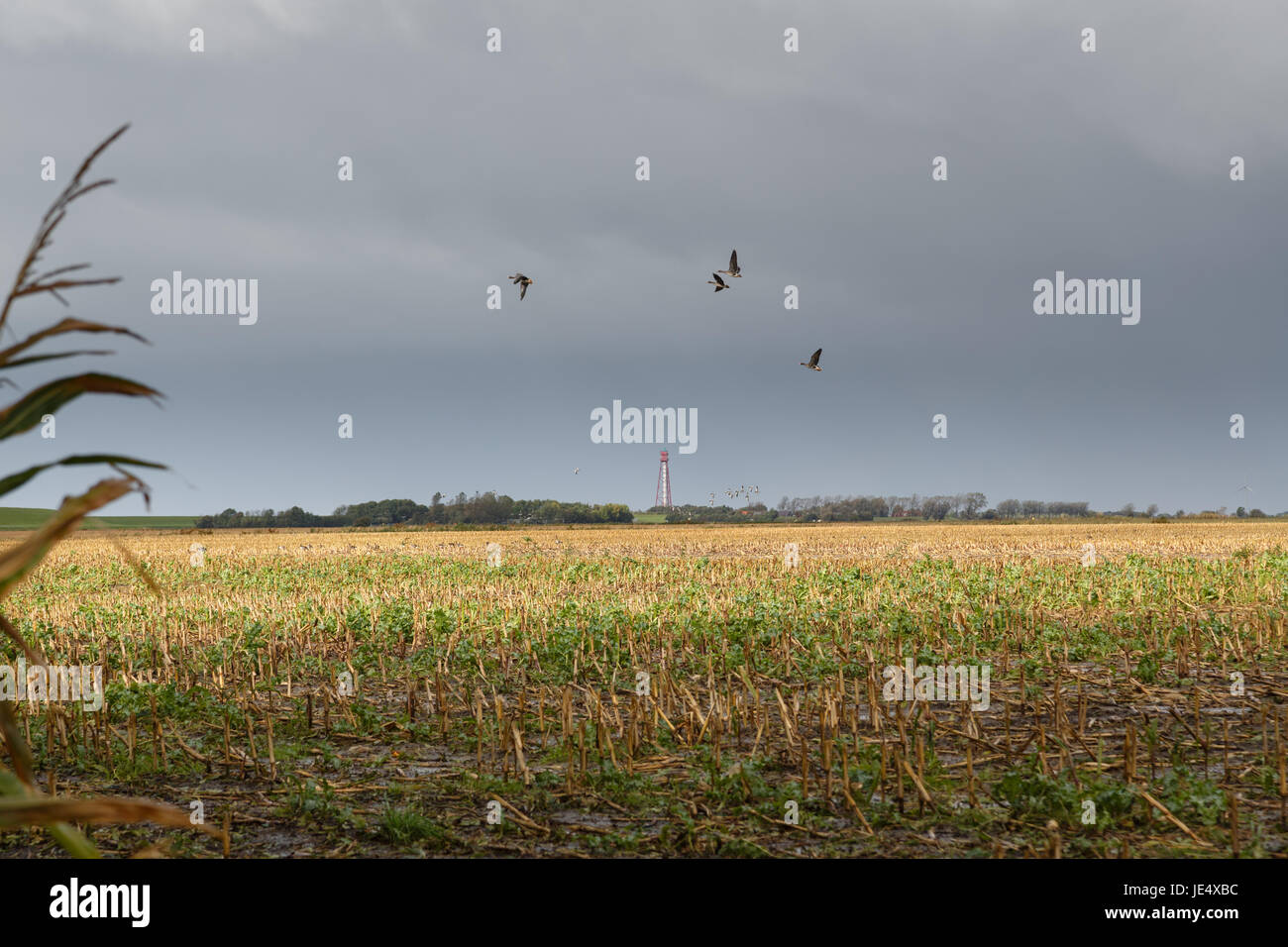 Australian Weather in October Unpredictable Skies Ahead