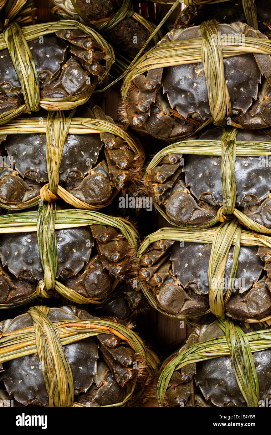 Uncooked Hairy crabs Stock Photo Alamy