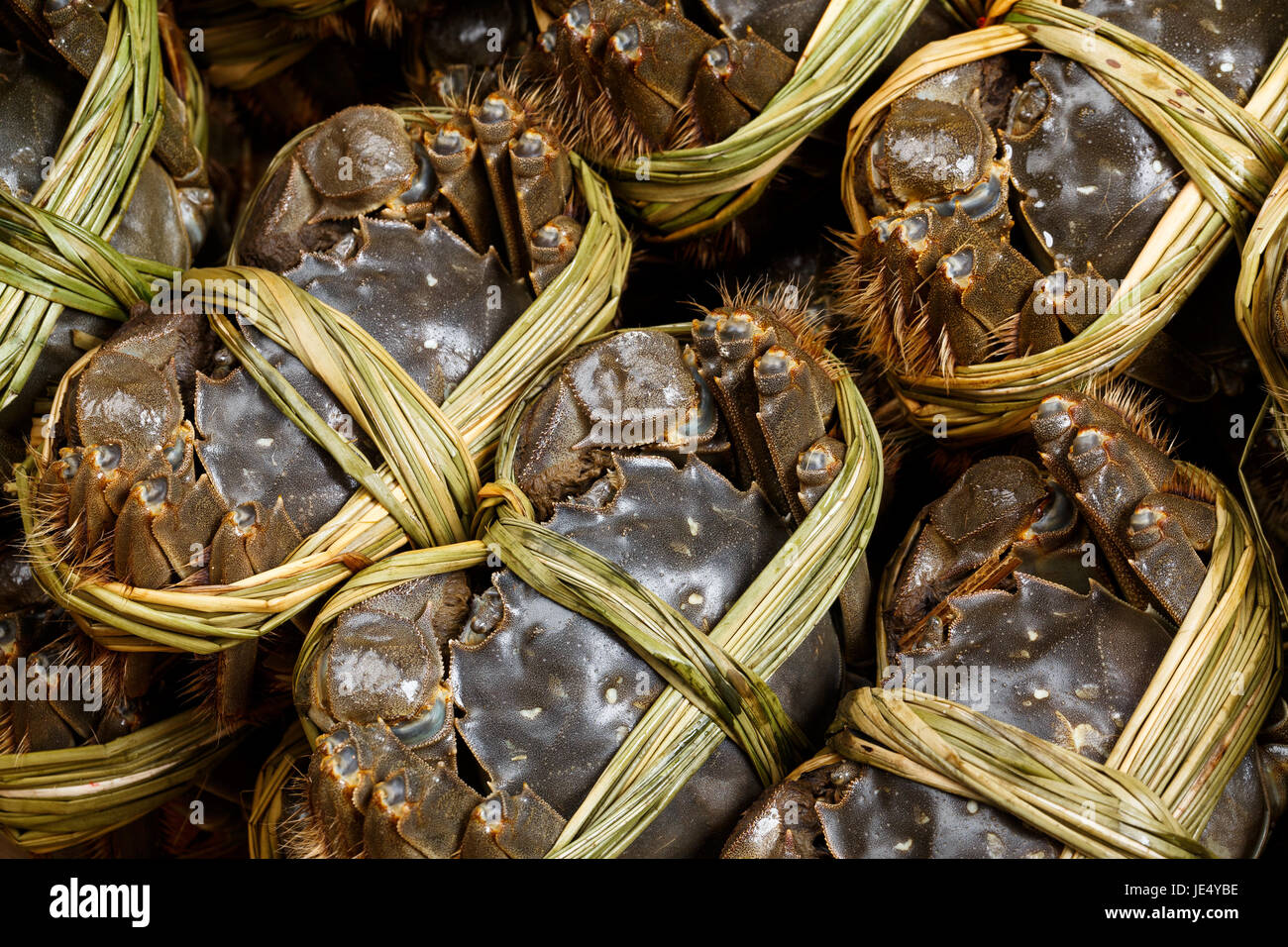 Group of uncooked Hairy crabs Stock Photo