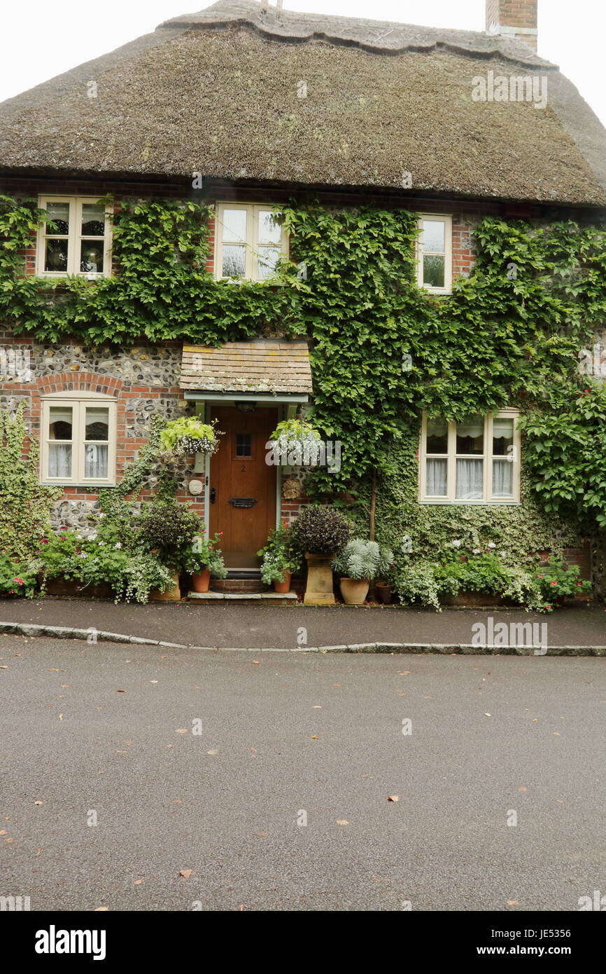 Ivy covered house,Maiden Newton,Dorset,UK Stock Photo Alamy