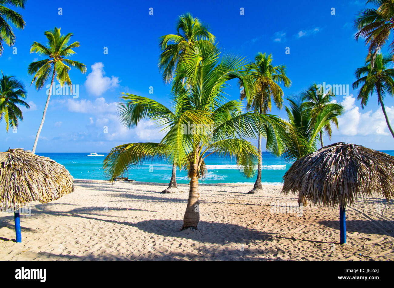 Tropical beach with sea wave on the sand and palm trees Stock Photo - Alamy