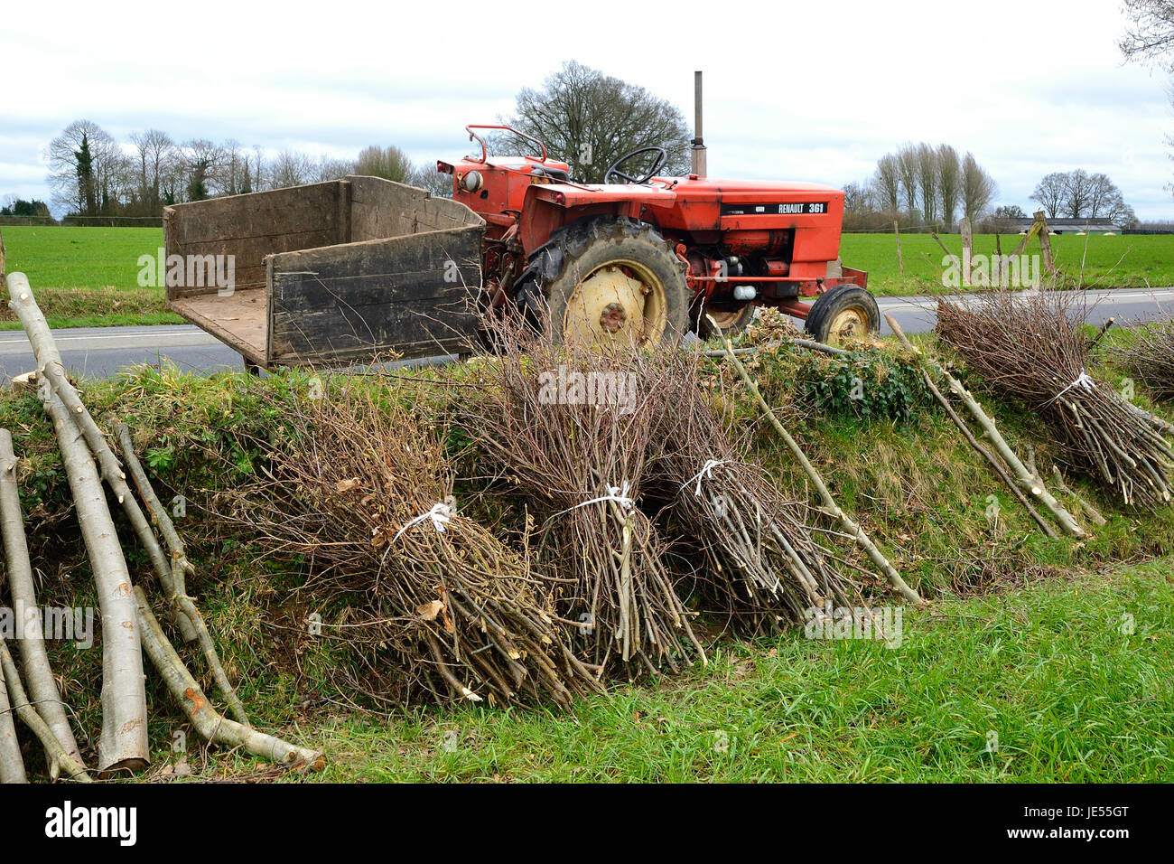 Manufacture of bundles of firewood (Northern Mayenne, Loire country, France). Stock Photo
