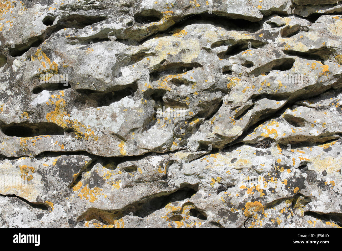 Limestone Erosion, Dovedale, Derbyshire, UK Stock Photo
