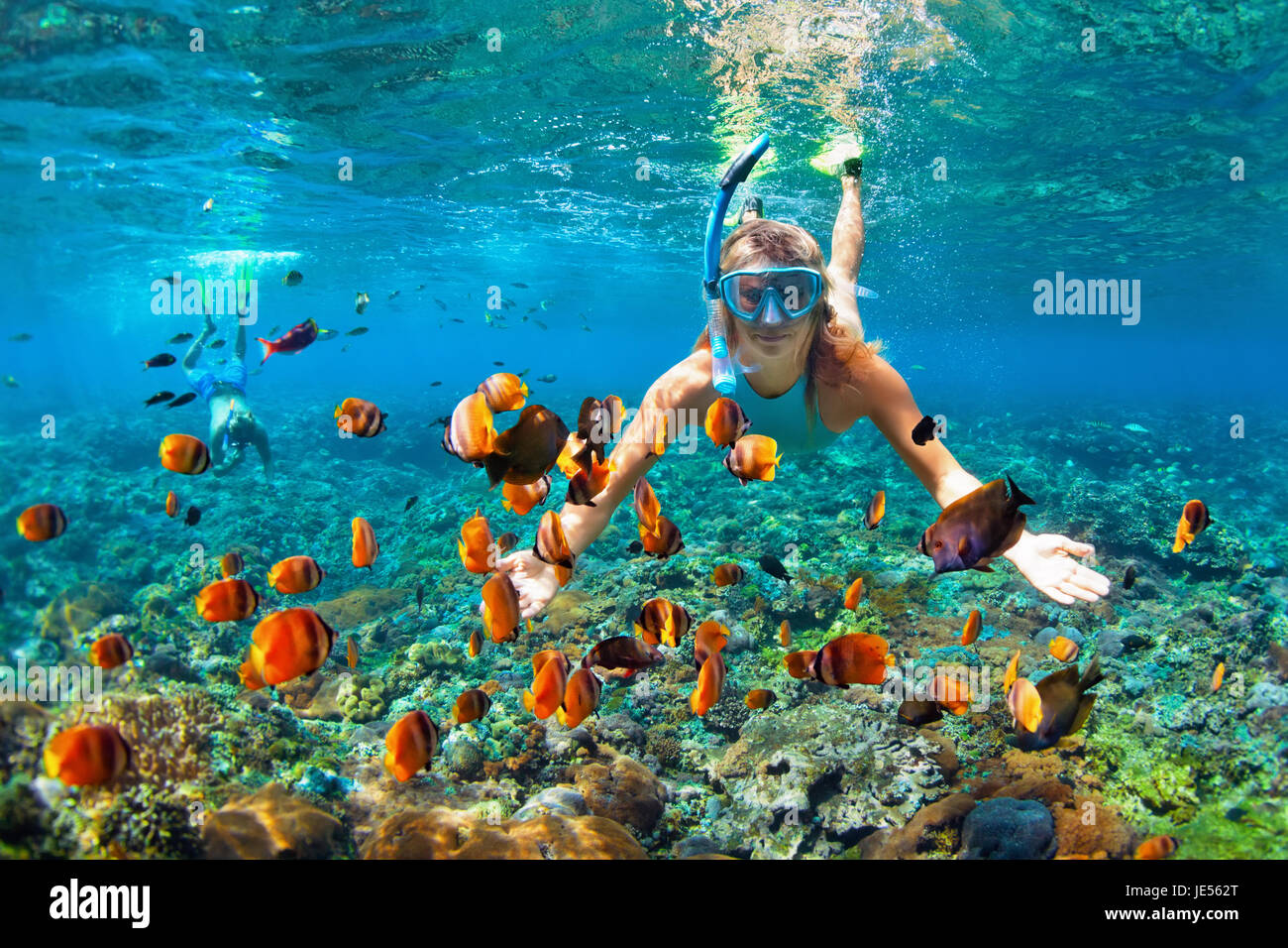 Snorkeling Bahamas High Resolution Stock Photography and Images - Alamy