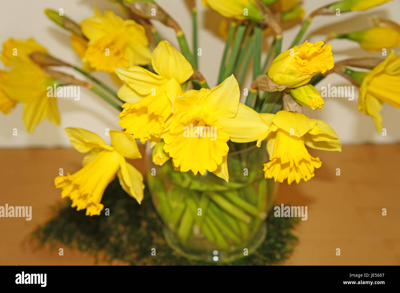 Narzissen in einer Vase, Nahaufnahme Narcissus in a vase, closeup Stock Photo