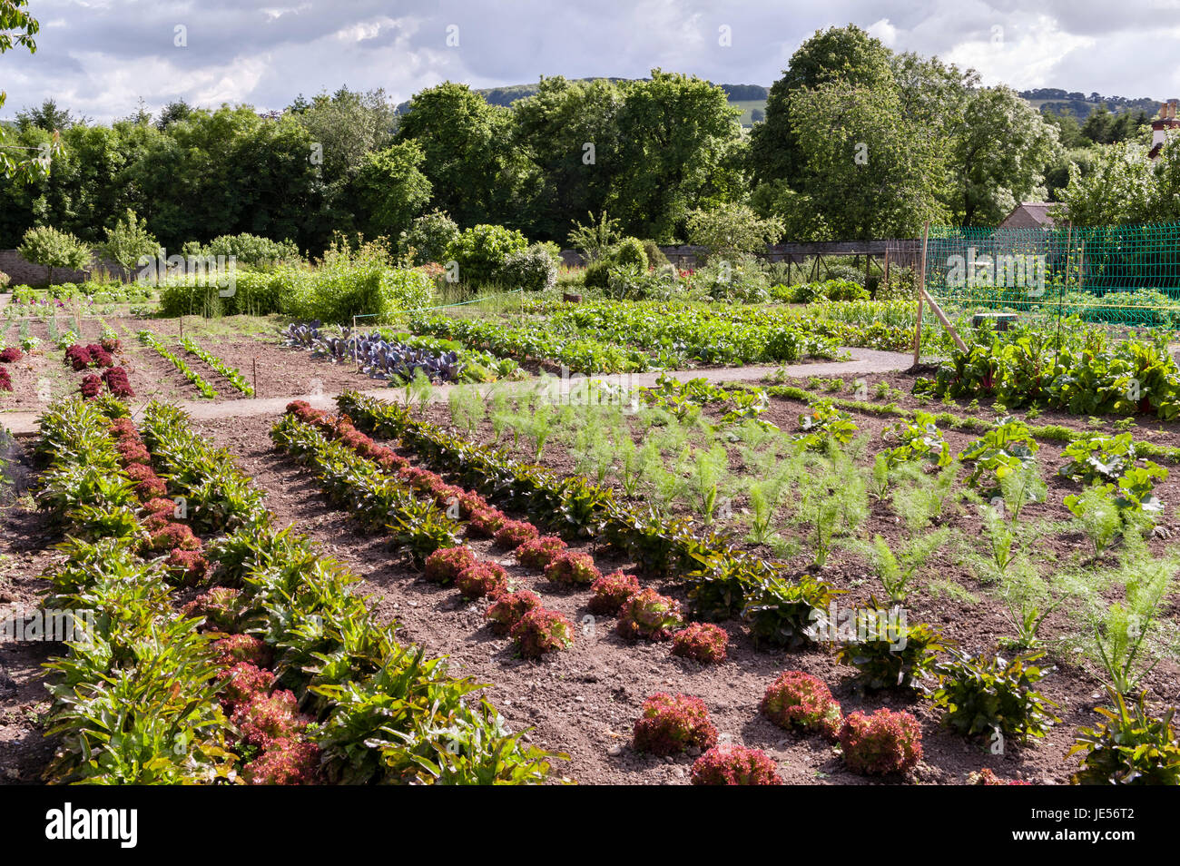 Victorian Kitchen Garden High Resolution Stock Photography and Images Alamy