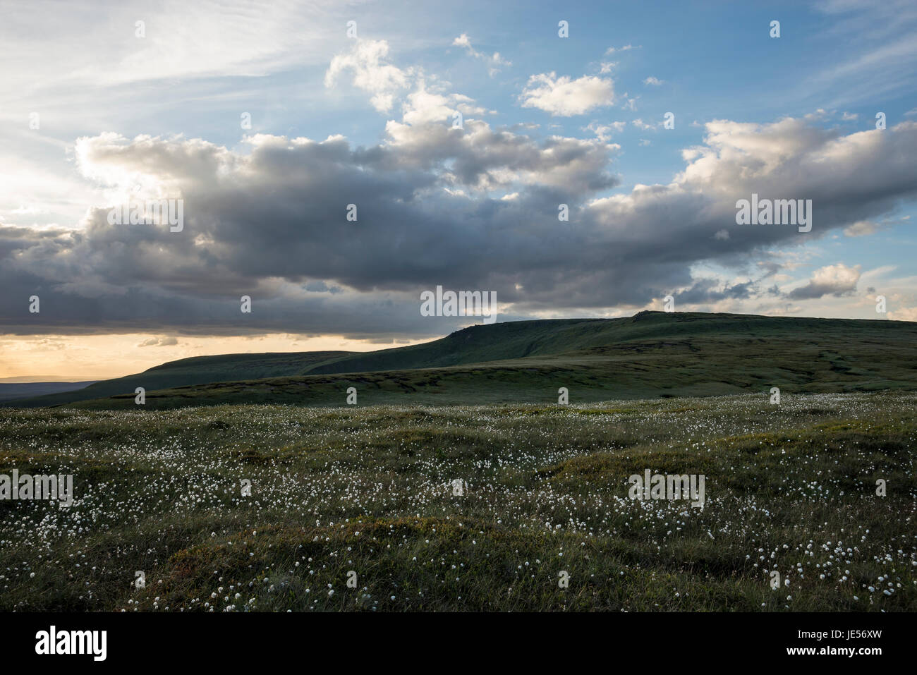 View of Shelf stones from moorland beside the Snake Pass, Derbyshire, England. Stock Photo