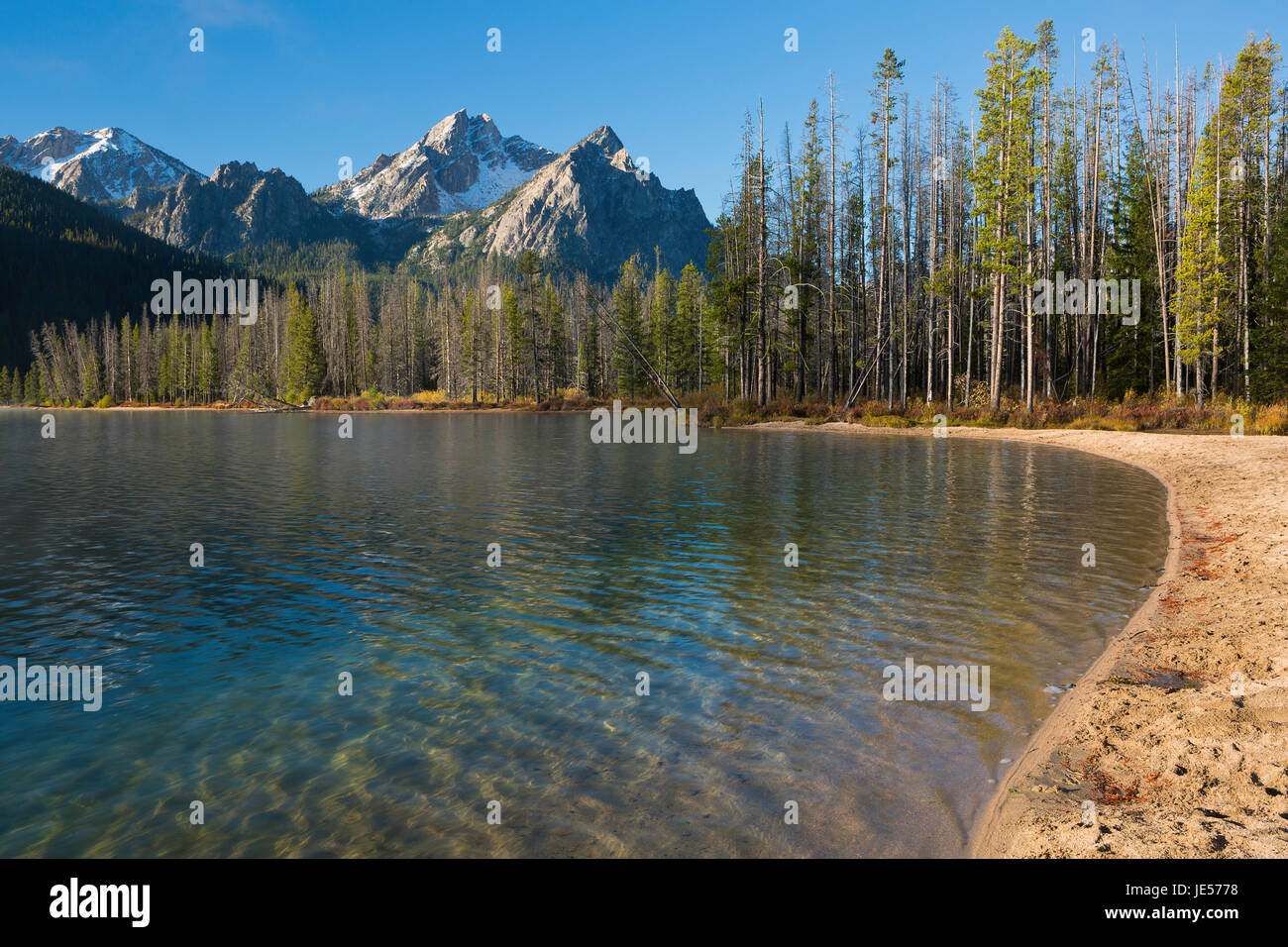 https://c8.alamy.com/comp/JE5778/the-sawtooth-mountains-rise-over-stanley-lake-in-idaho-on-a-clear-JE5778.jpg