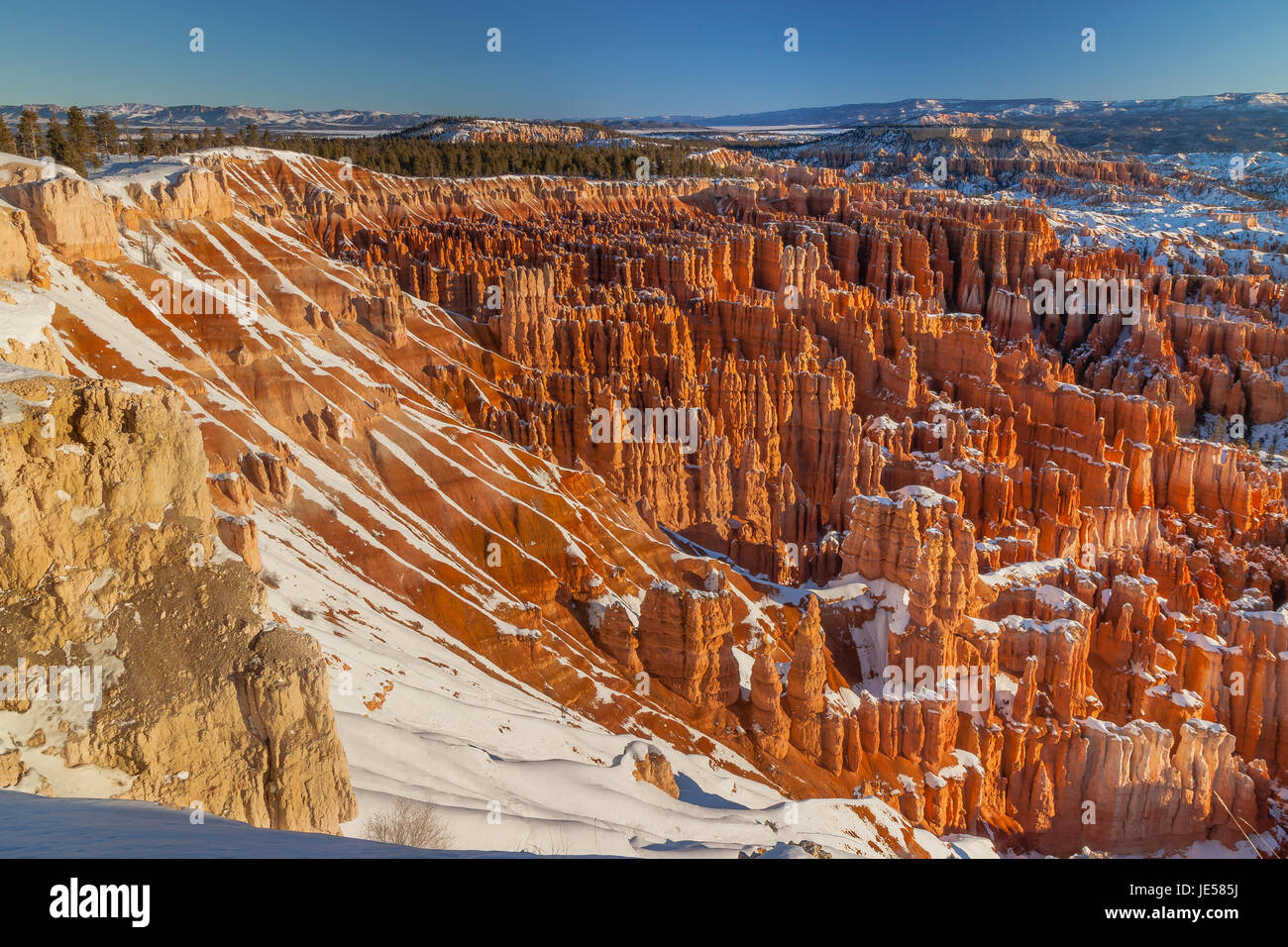 Snow on the hoodoos of the Amphitheater in Bryce Canyon National Park, Utah Stock Photo