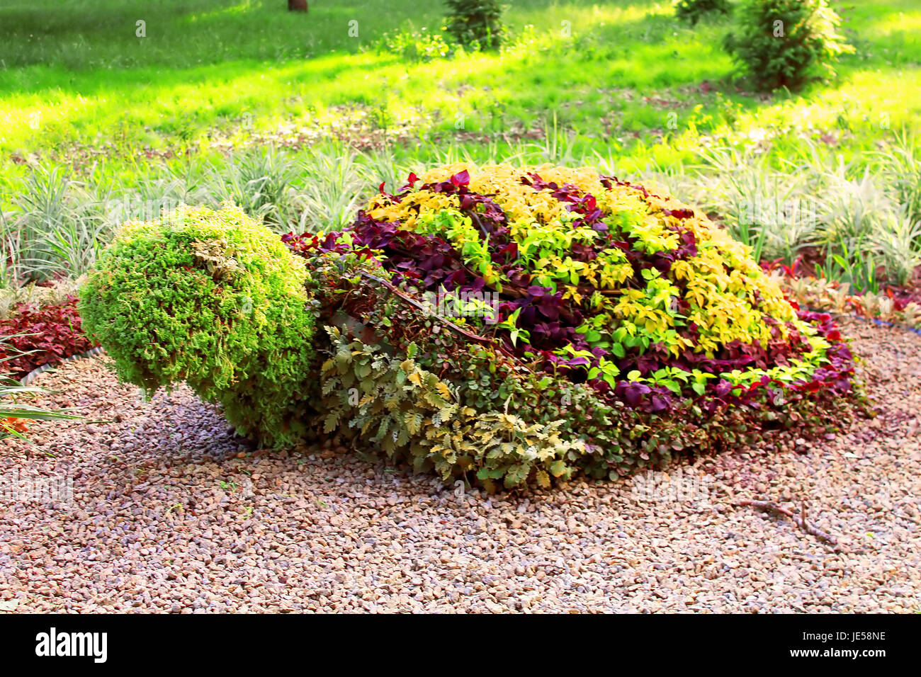 Turtle shaped bush in the garden. Ornamental park garden design Stock Photo