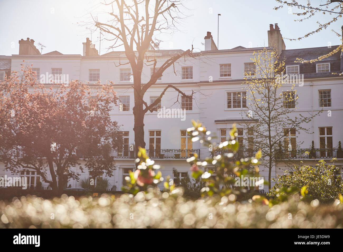 Egerton Crescent, London, UK Stock Photo Alamy