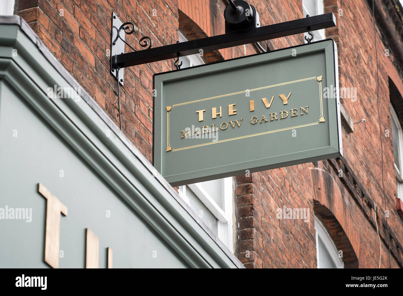 The Ivy, Marlow Stock Photo