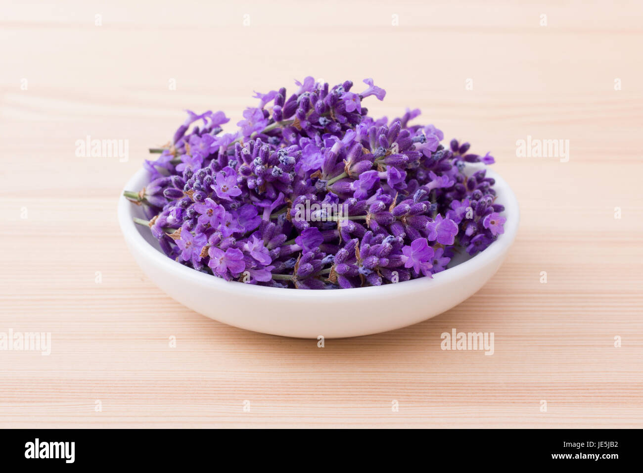 Porcelain bowl with lavender blossoms Stock Photo