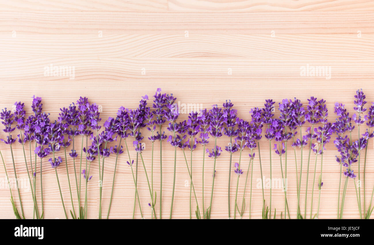 Row of lavender blossoms on wood Stock Photo