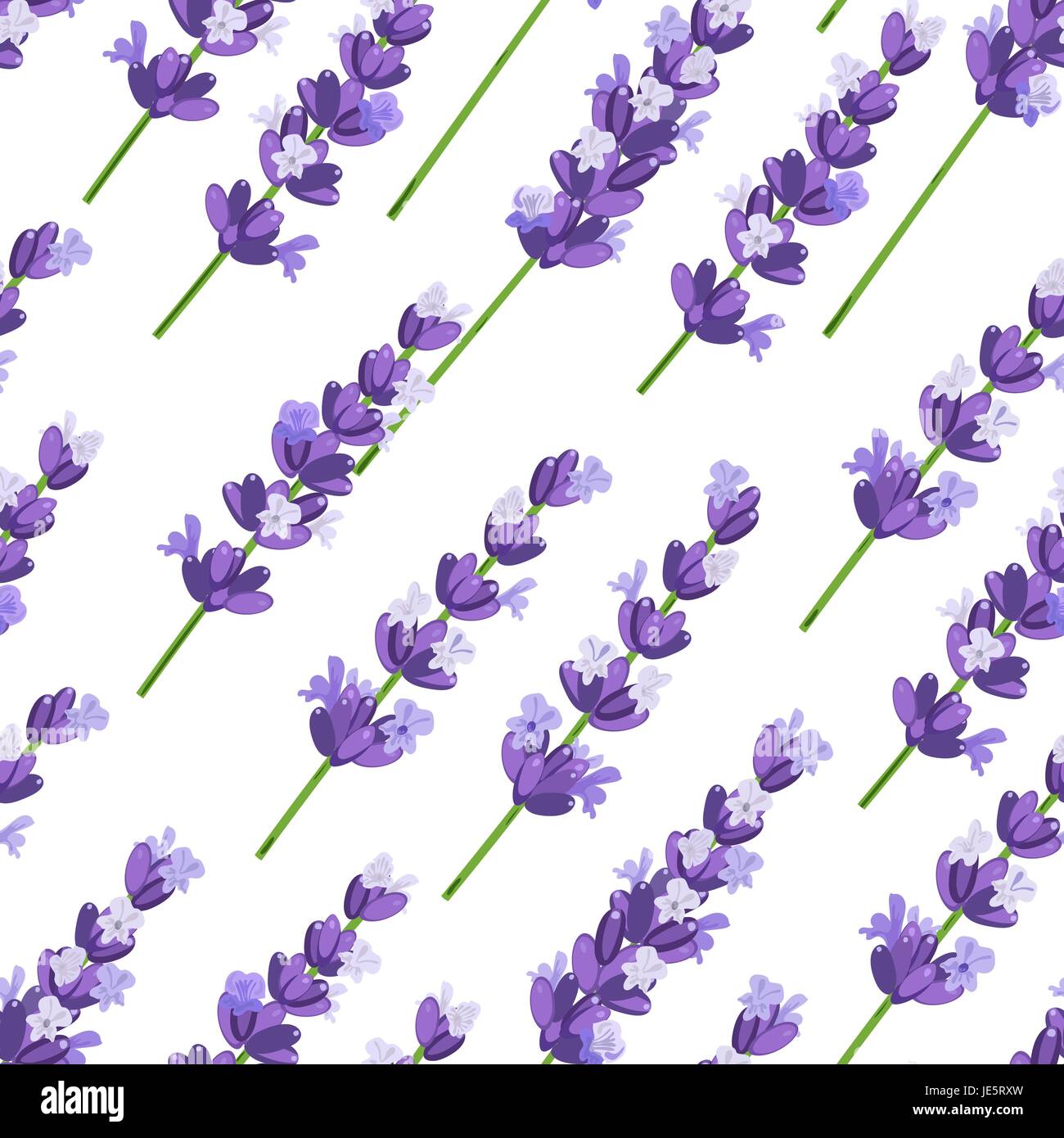 Seamless pattern of provence violet lavender flowers on a white ...