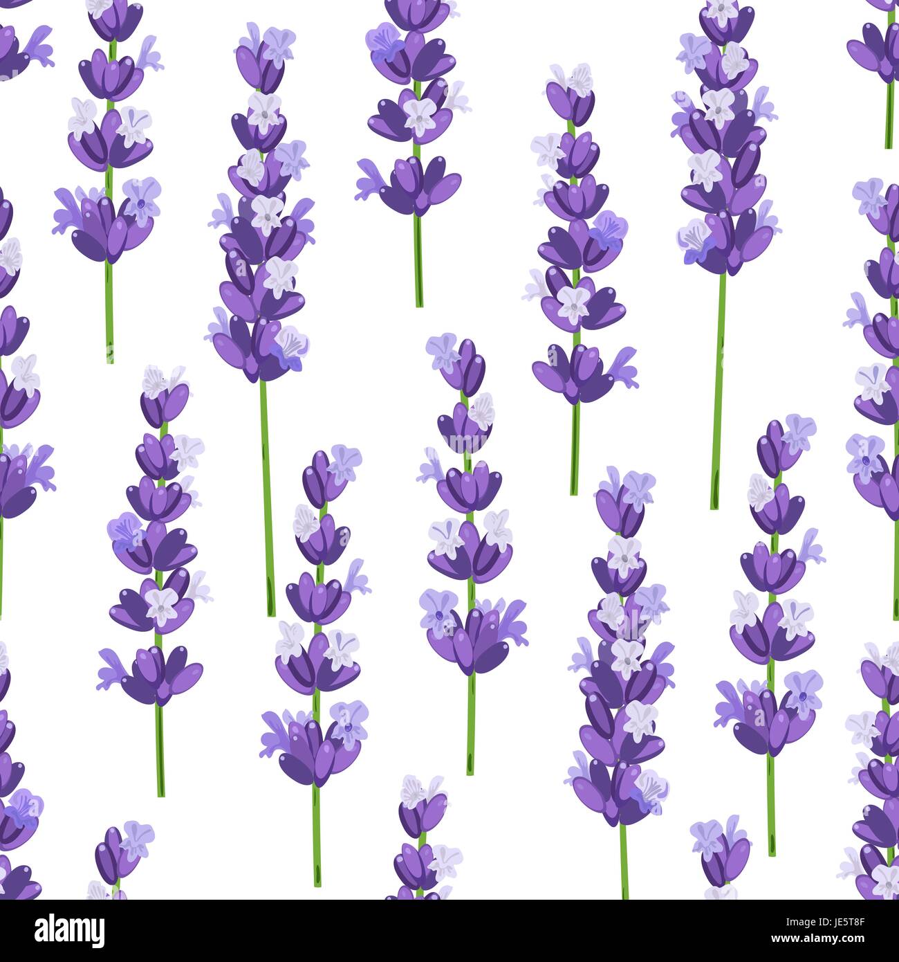 Seamless pattern of provence violet lavender flowers on a white ...