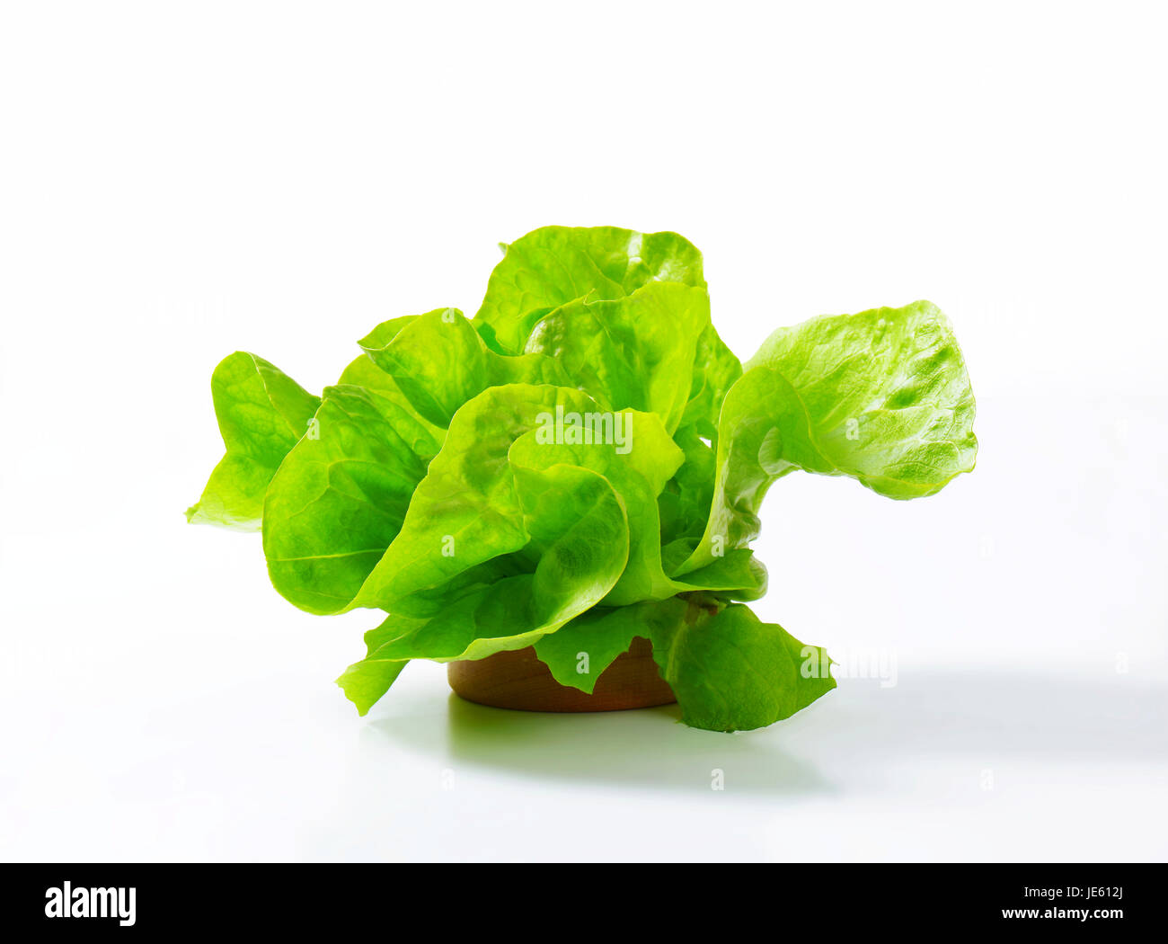 Butterhead - Also known as Boston or Bibb lettuce Stock Photo - Alamy