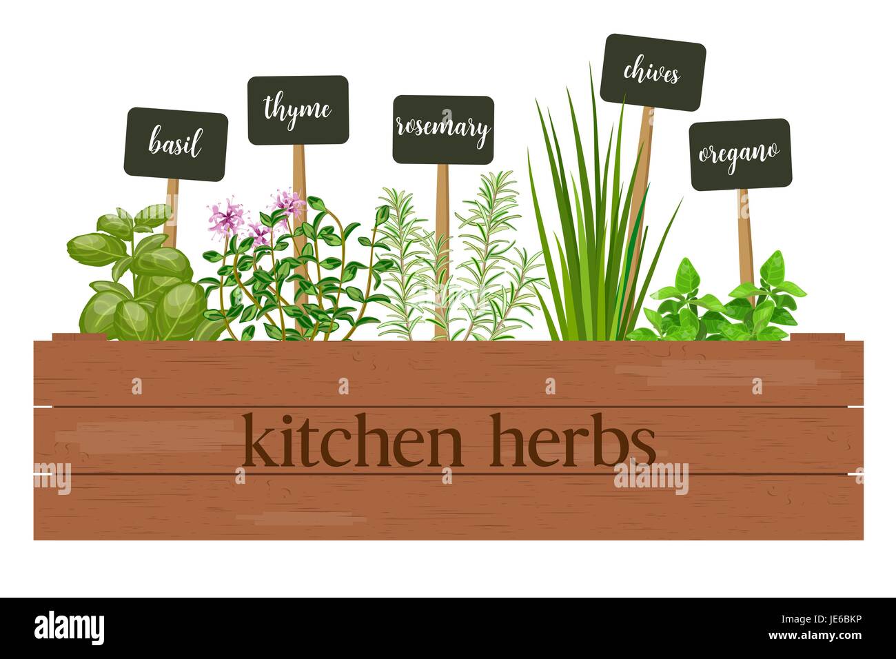 Wooden crate of farm fresh cooking herbs with labels in wooden box. Greenery basil, rosemary, chives, thyme, oregano with text. Stock Vector