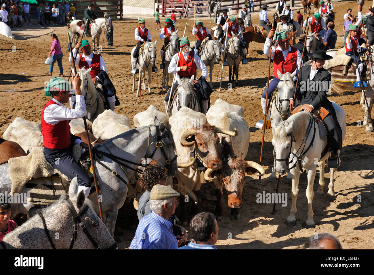 Wild bulls herdsmen, the 'campinos'. Samora Correia, Ribatejo. Portugal Stock Photo