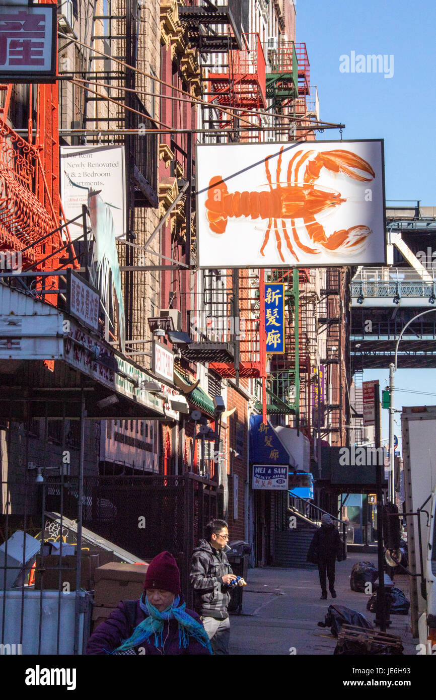 Lobster wholesaler in Chinatown, New York CIty, USA Stock Photo Alamy
