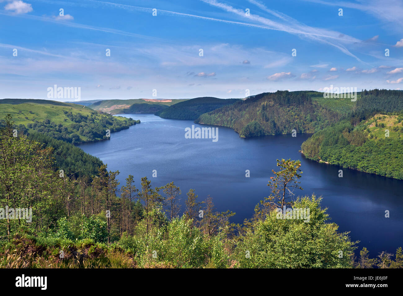Llyn Brianne reservoir in the Towy Forest, completed in 1972. Powys, Wales. Stock Photo