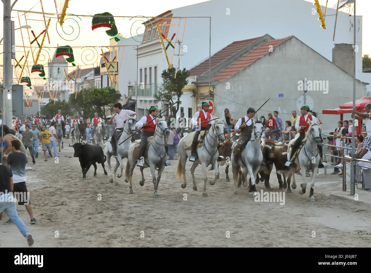 Traditional running of wild bulls by the 'campinos', during the Barrete Verde (Green Cap) festivities. Alcochete, Portugal Stock Photo