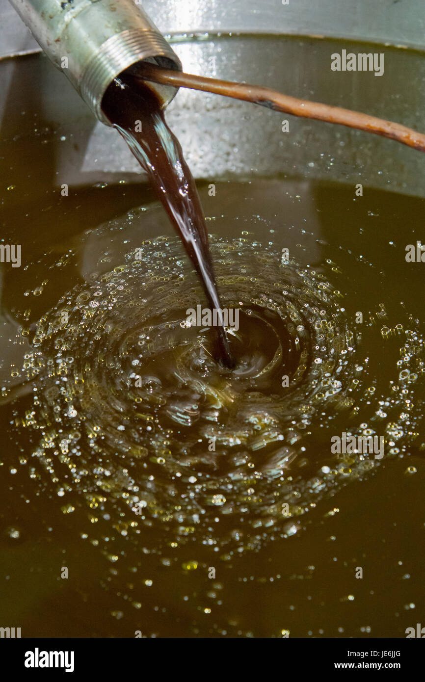 Olive oil flowing from the pressing of olives. Beira Baixa, Portugal Stock Photo