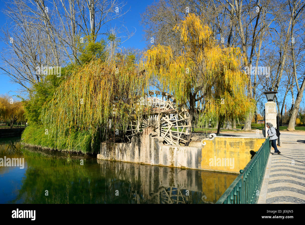 A noria of arab origin in the Nabão river, surrounded by a willow tree. Mouchão Park, Tomar. Portugal Stock Photo