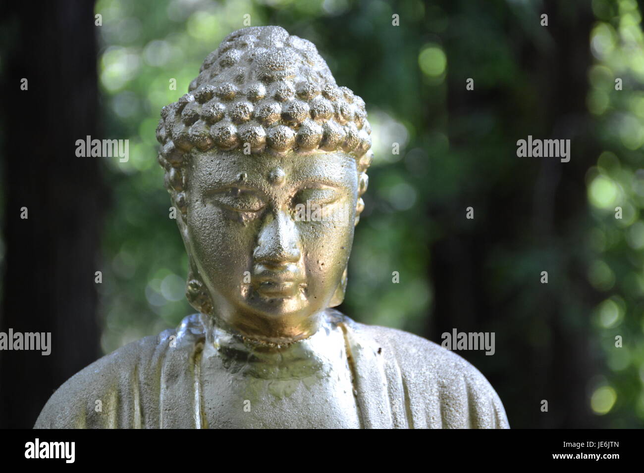 Land of the Medicine Buddha, California Stock Photo Alamy