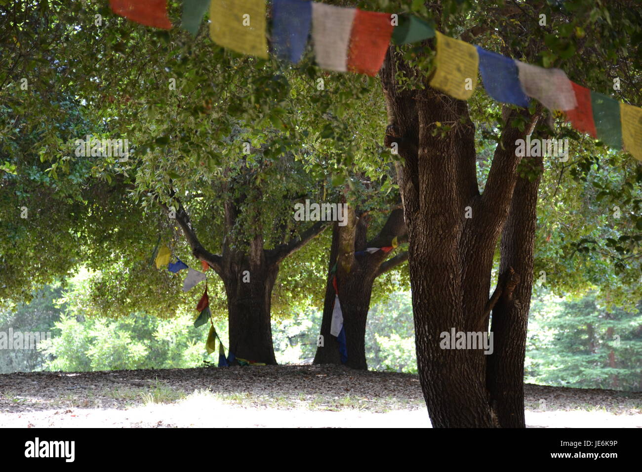 Land of the Medicine Buddha, California Stock Photo Alamy