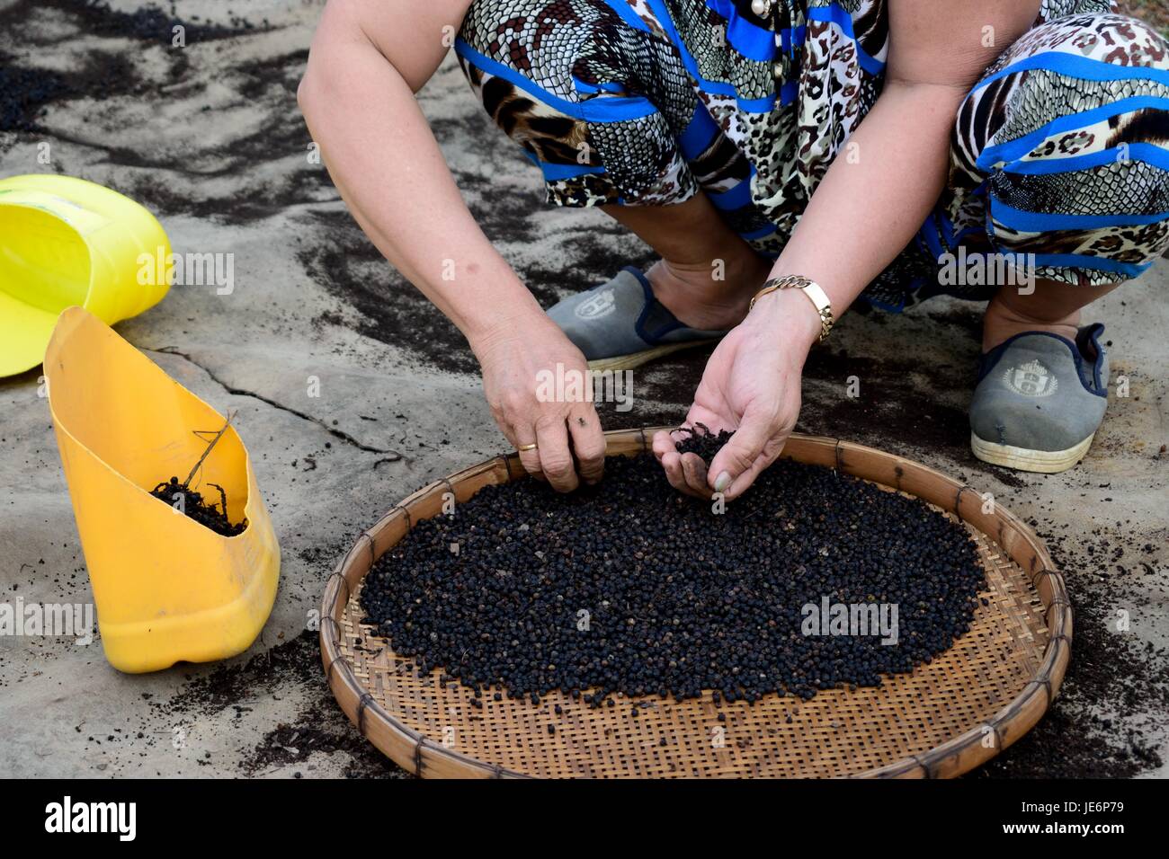 Pepper farm hi-res stock photography and images - Alamy