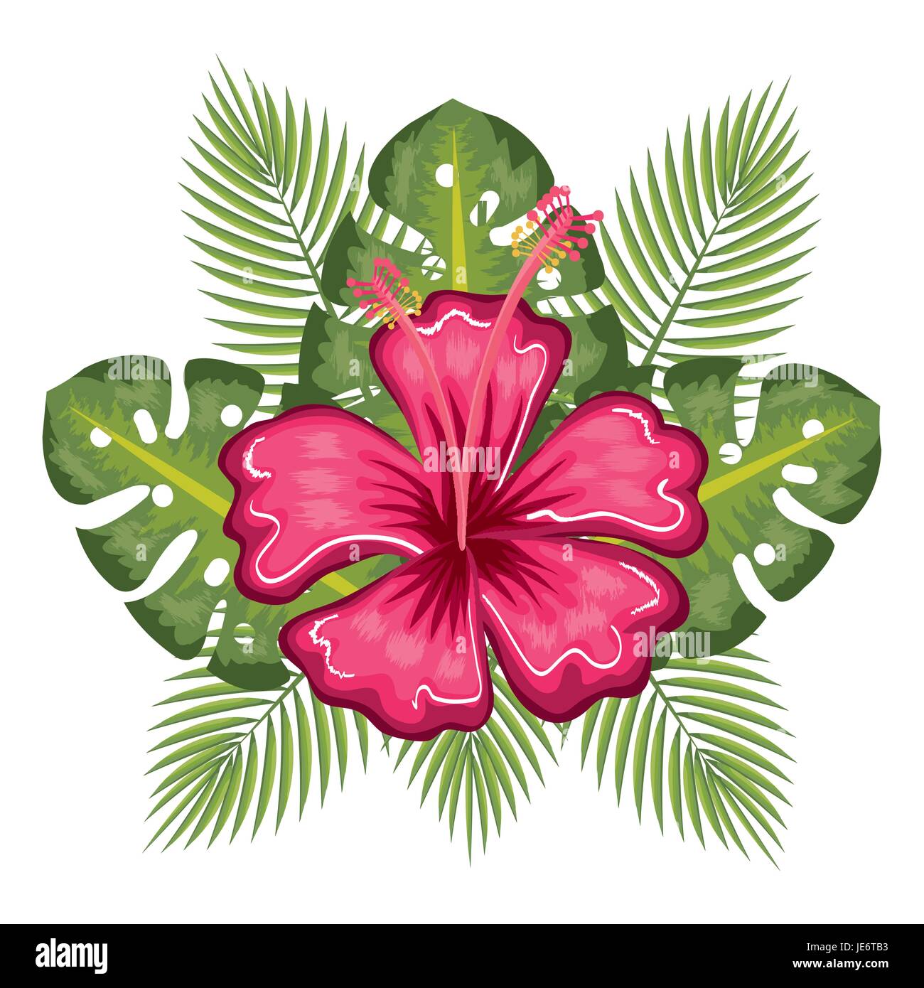 Tropical flower and leaves over white background vector illustration ...