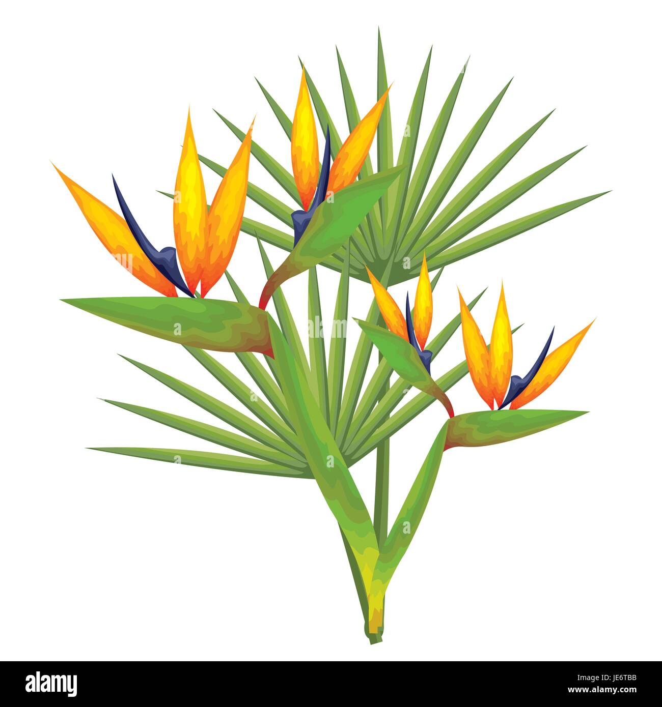 Tropical flowers and leaves over white background vector illustration ...