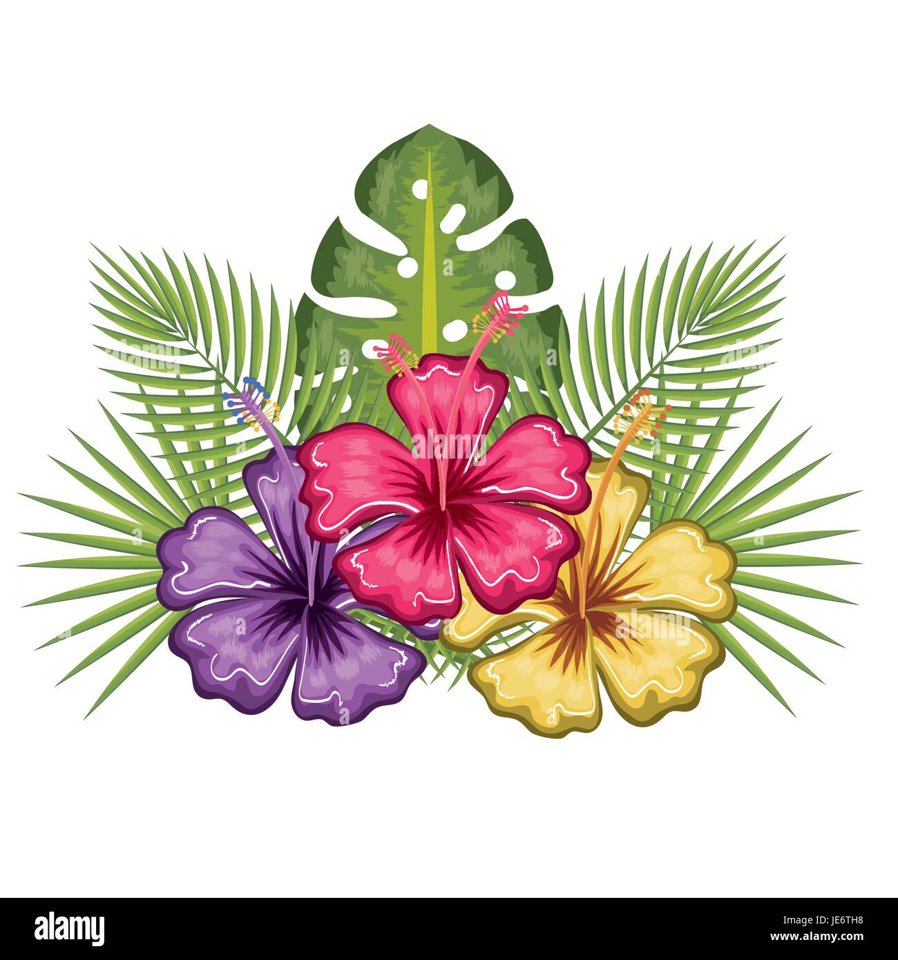 Colorful tropical flowers and leaves over white background vector  illustration Stock Vector Image \u0026 Art - Alamy, image size:1300x1390