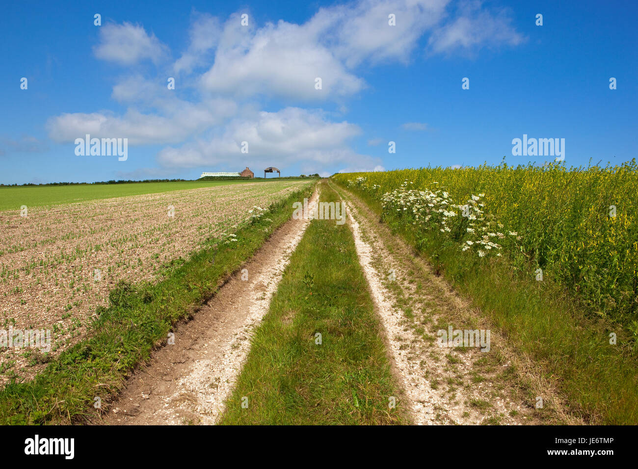 Chalky white hires stock photography and images Alamy