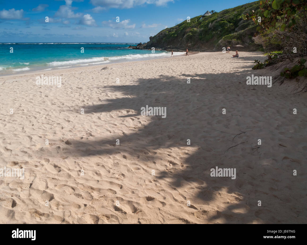 Macaroni Beach on Mustique has pristine white sands and azure blue water Stock Photo Alamy