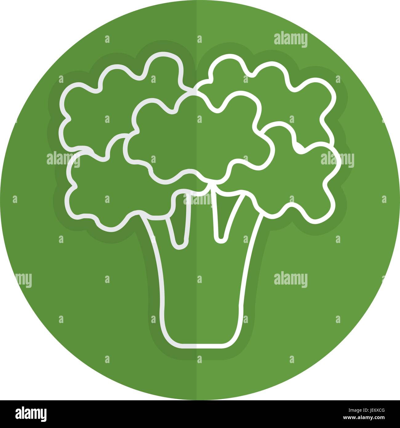 broccoli fresh vegetable icon Stock Vector Image & Art - Alamy