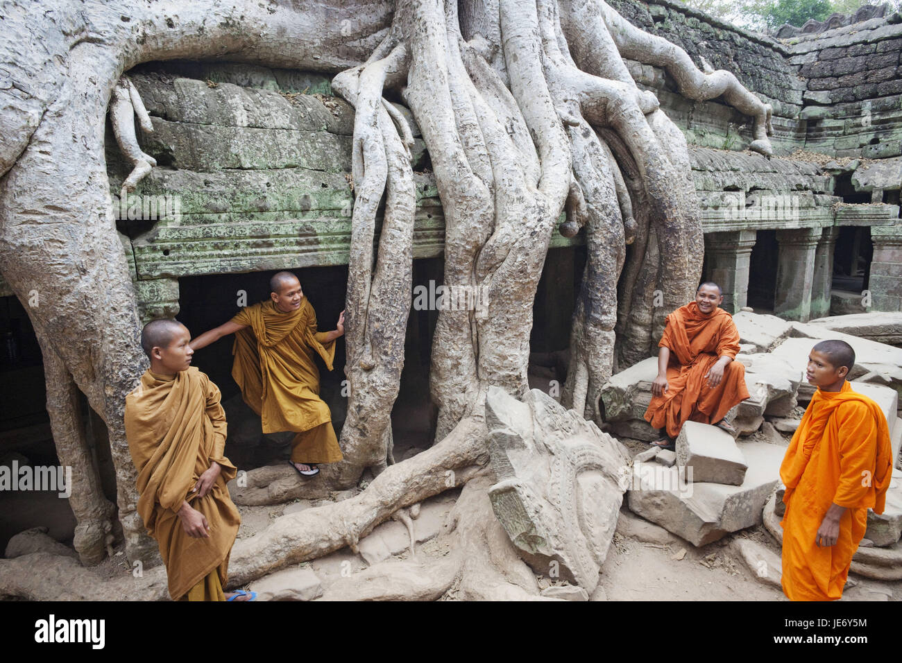 Cambodia, Siem Reap, Angkor, Ta Prohm temple, tree roots, monks, Stock Photo