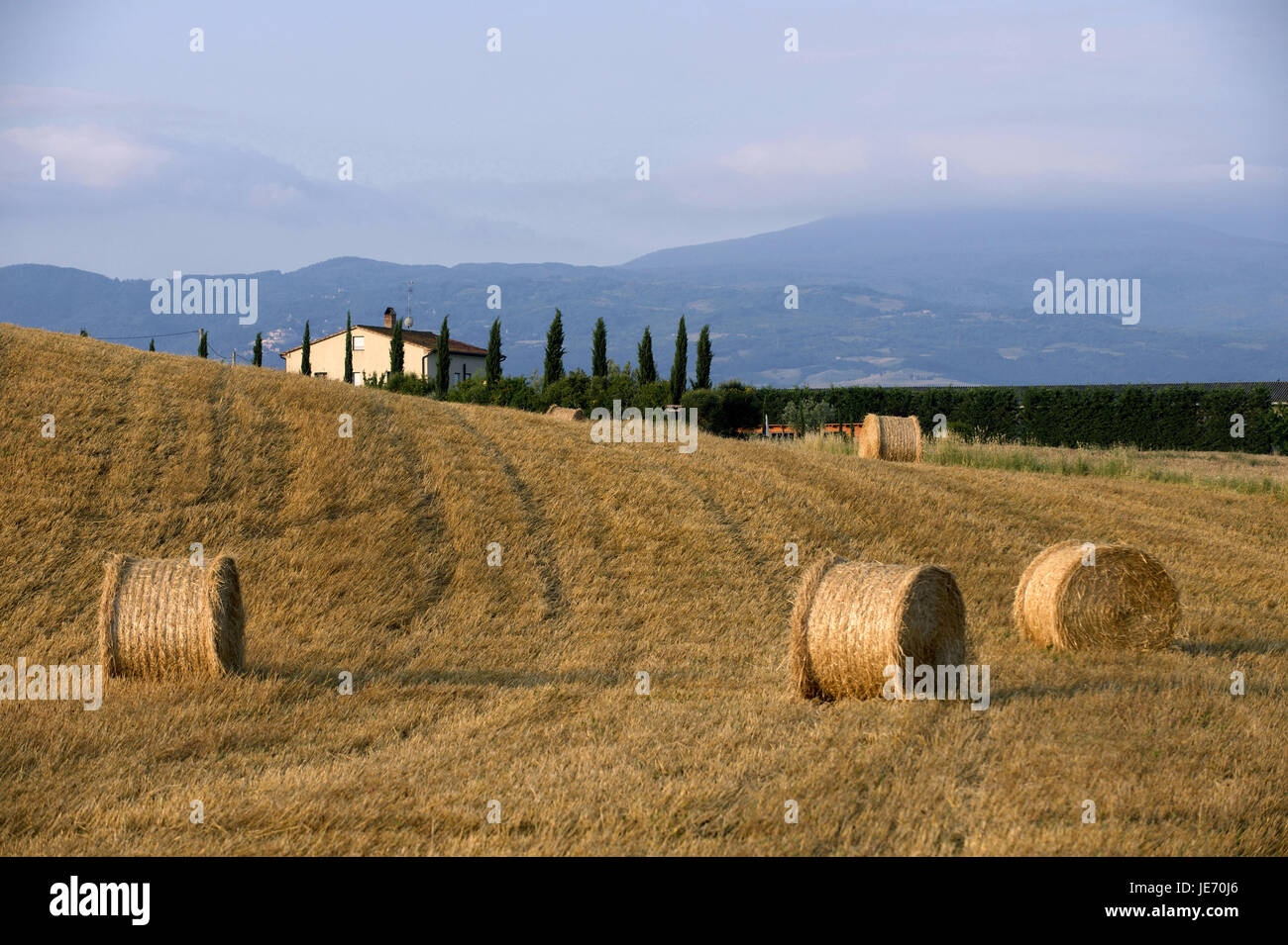 Hay bale fields hi-res stock photography and images - Alamy