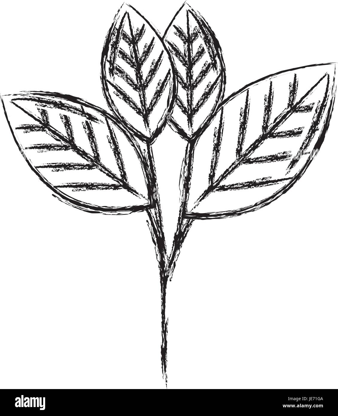 leafs plant ecology icon vector illustration design Stock Vector Image ...