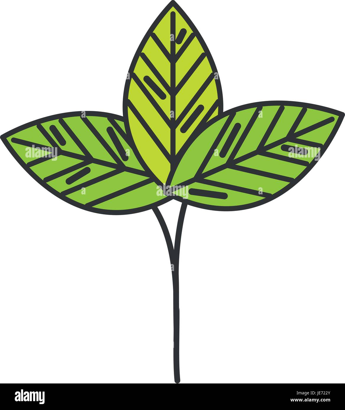 leafs plant ecology icon vector illustration design Stock Vector Image ...