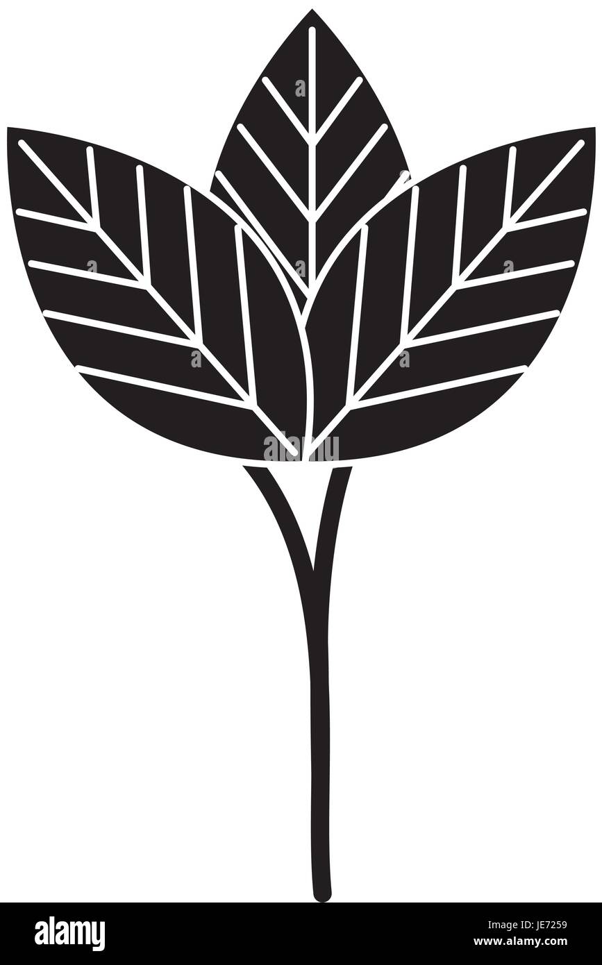 leafs plant ecology icon vector illustration design Stock Vector Image ...