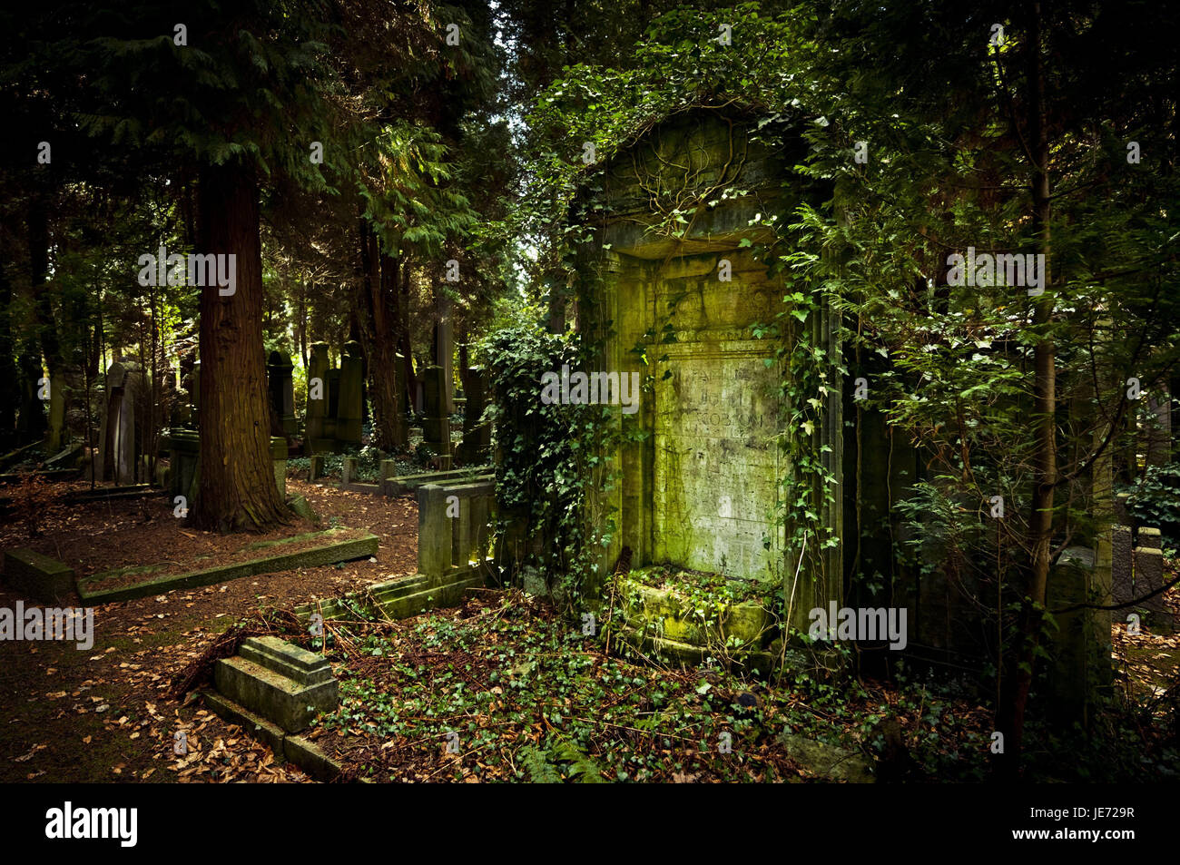 Germany, Hamburg, village Ohls, cemetery, tomb, runs wild, in 1883, burial ground, recollection, cemetery, memory, memory cemetery, faith, tomb, nobody, main cemetery, hope, Jewish, nature, park, park, park cemetery, religion, rest, death, old, offences, transitoriness, quietly, Hamburg-Ohlsdorf, Stock Photo