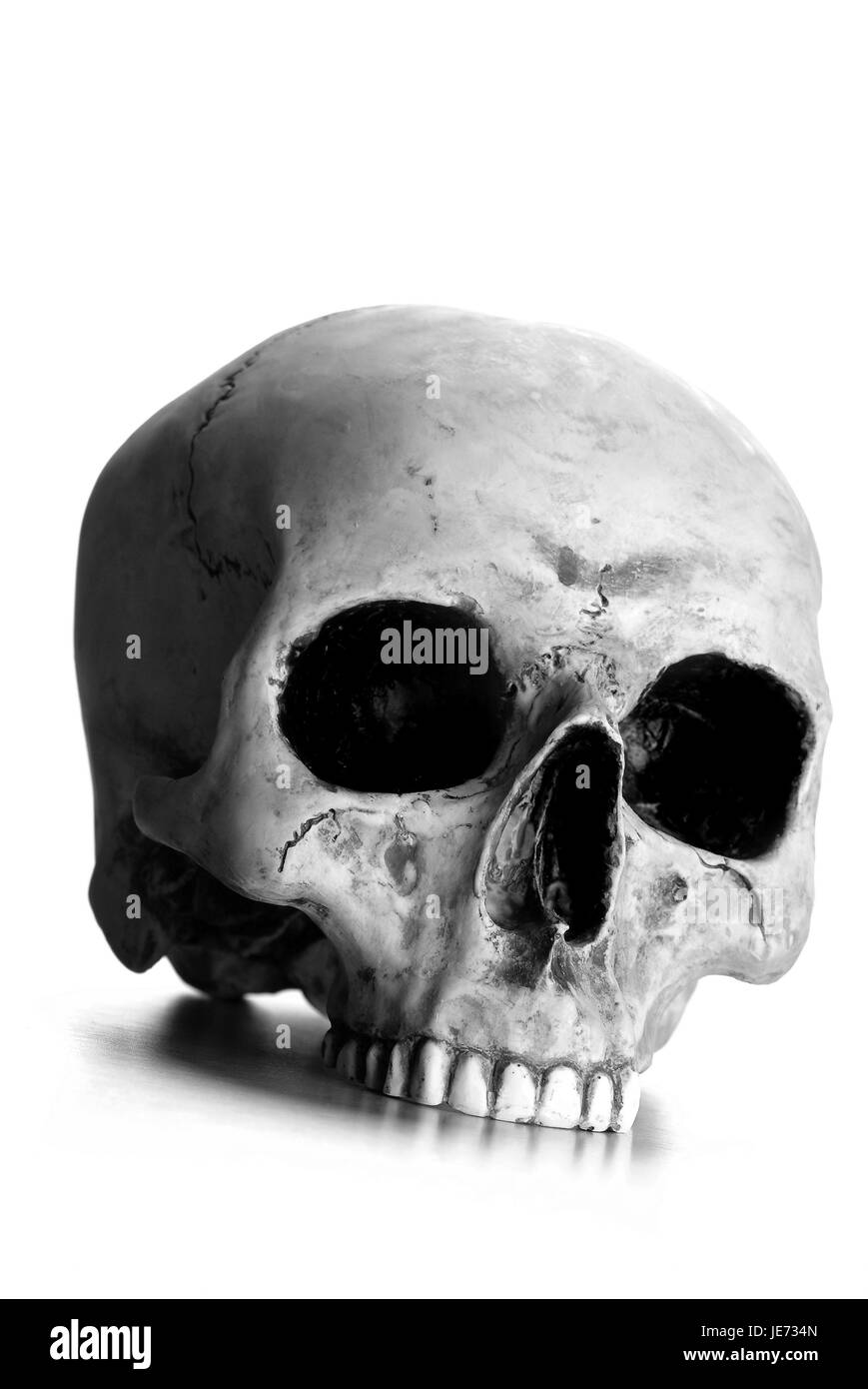 Death's-head, skull, s/w, Stock Photo
