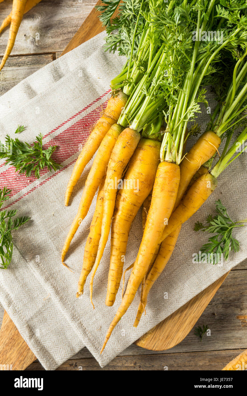 Organic Bunch of Yellow Carrots with Green Stems Stock Photo