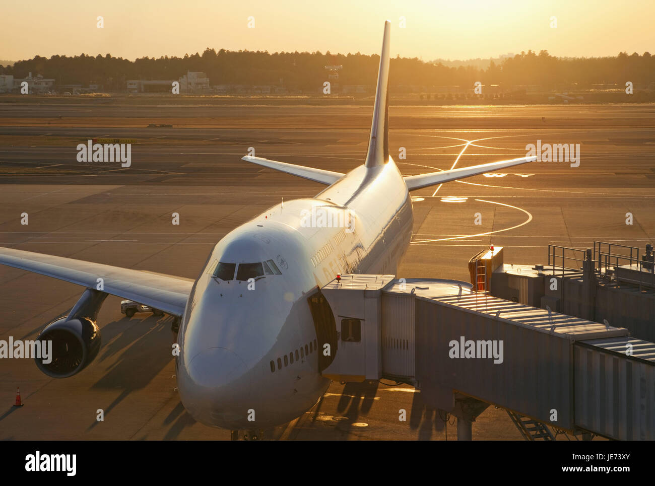 Japan, Tokyo, Narita international airport, landing field, airplane, airport, outside, travel, journey by air, vacation, evening tuning, evening, nobody, arrival, takeoff, Stock Photo