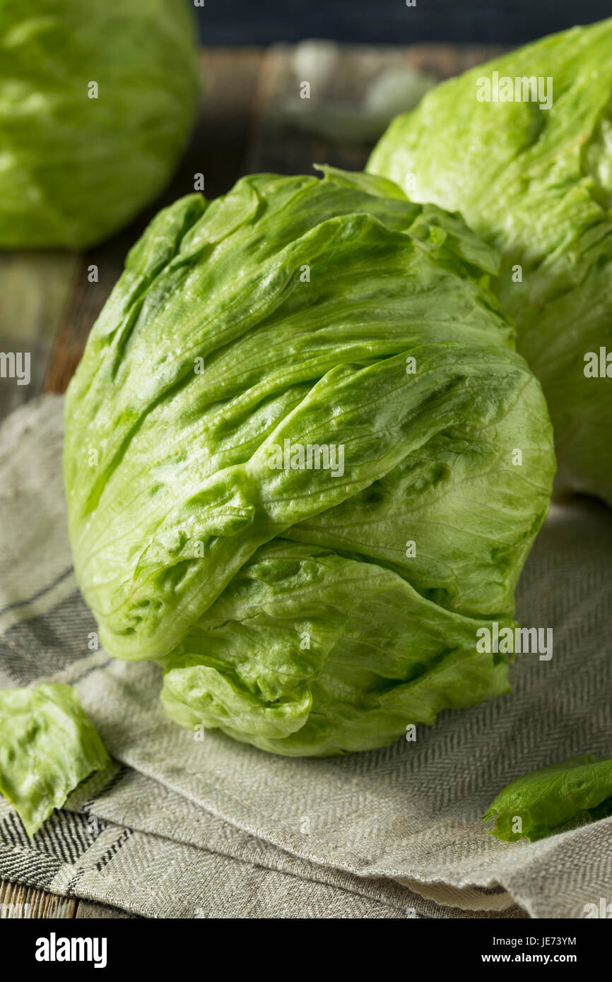 Raw Organic Round Crisp Iceberg Lettuce Ready to EAt Stock Photo Alamy