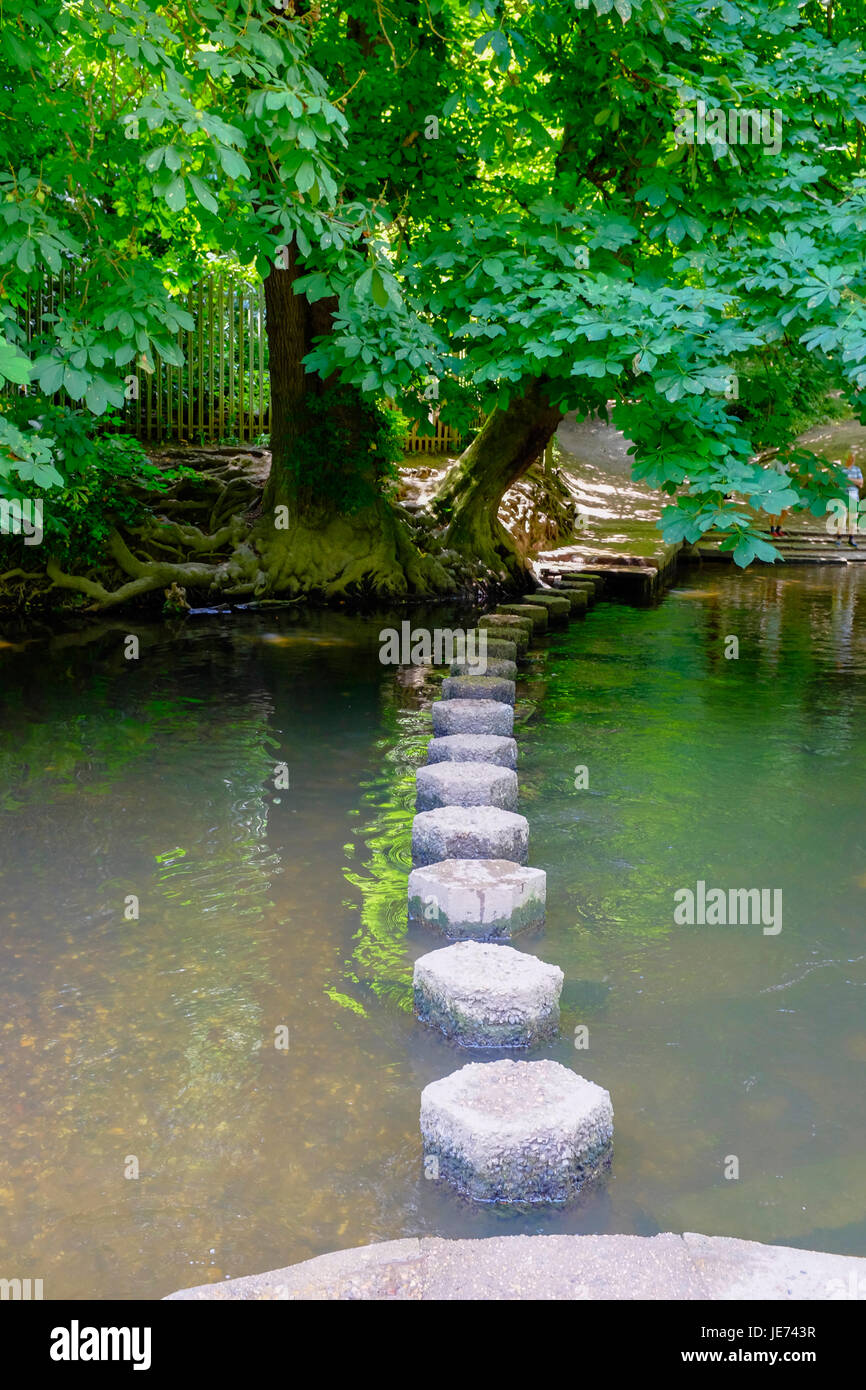 Stepping Stones at Box Hill, Surrey, England Stock Photo