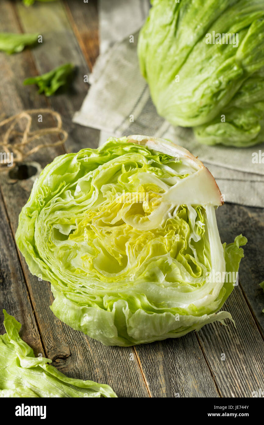 Raw Organic Round Crisp Iceberg Lettuce Ready to EAt Stock Photo Alamy