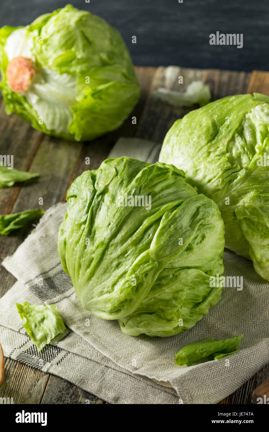 Raw Organic Round Crisp Iceberg Lettuce Ready to EAt Stock Photo Alamy